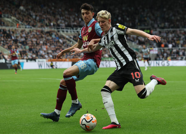 无暇顾及 无暇顾及