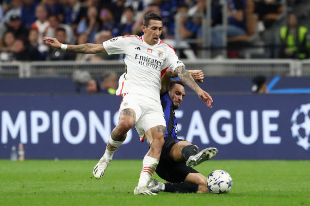 球更强调智 球更强调智